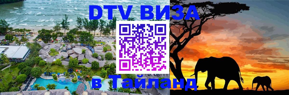 Оформление DTV визы под ключ: стоимость и тарифы, только загранпаспорт - 
